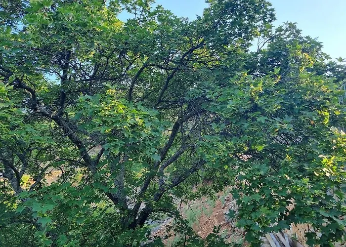 Hobbit House Villa *