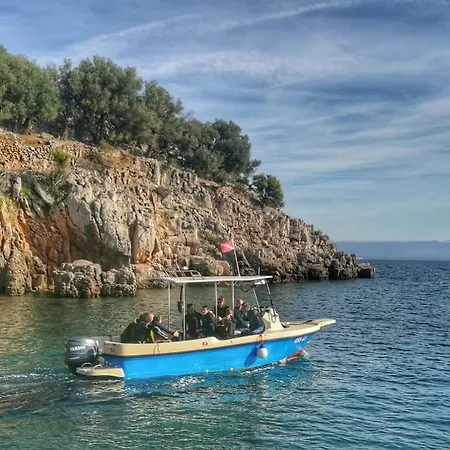 Vilă Hobbit House *